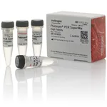 Thermo Fisher Scientific Platinum PCR SuperMix High Fidelity, 100 rxns