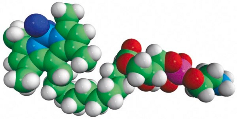 Merck TopFluor(R) Lyso PE