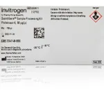 Thermo Fisher Scientific Proteinase K (50 ug/μL), 150 μL