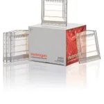 Thermo Fisher Scientific NativePAGE Bis-Tris Mini Protein Gels, 3 to 12%, 1.0 mm, 10-well, 10 gels (1 box)