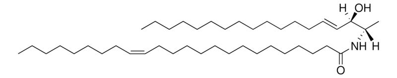 Merck N-C24:1-deoxysphingosine