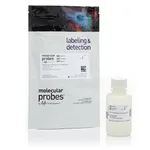 Thermo Fisher Scientific BackDrop Background Suppressor for Microplate Assays, 50 mL