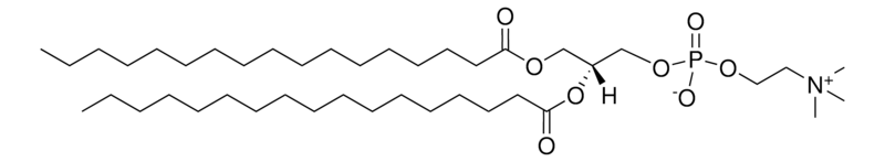 Merck 17:0 PC