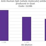 Merck ANTI-HUMAN IGG (WHOLE MOLECULE)