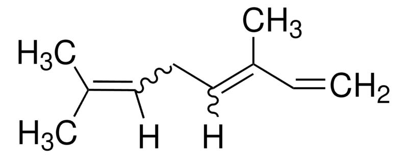Merck Ocimene