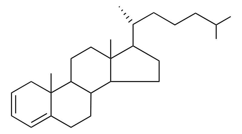Merck CHOLESTA-2,4-DIENE-