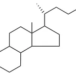 Merck CHOLESTA-2,4-DIENE-