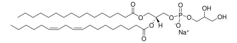 Merck 16:0-18:2 PG