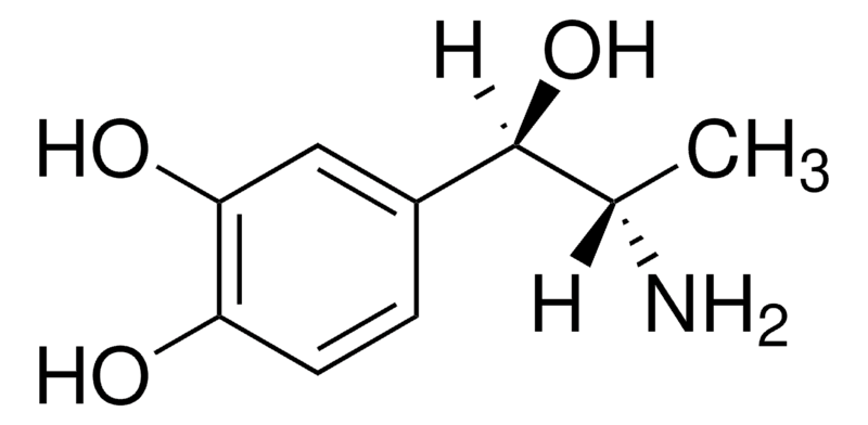Merck Levonordefrin