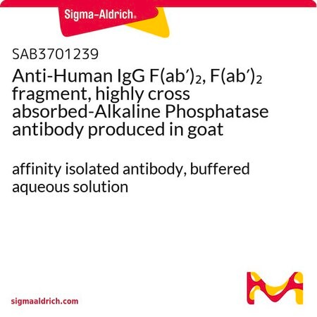 Merck Anti-Human IgG F(ab')2, F(ab')2 fragment, highly cross absorbed-Alkaline Phosphatase antibody produced in goat