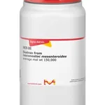 Merck DEXTRAN FROM LEUCONOSTOC MESENTEROIDES&