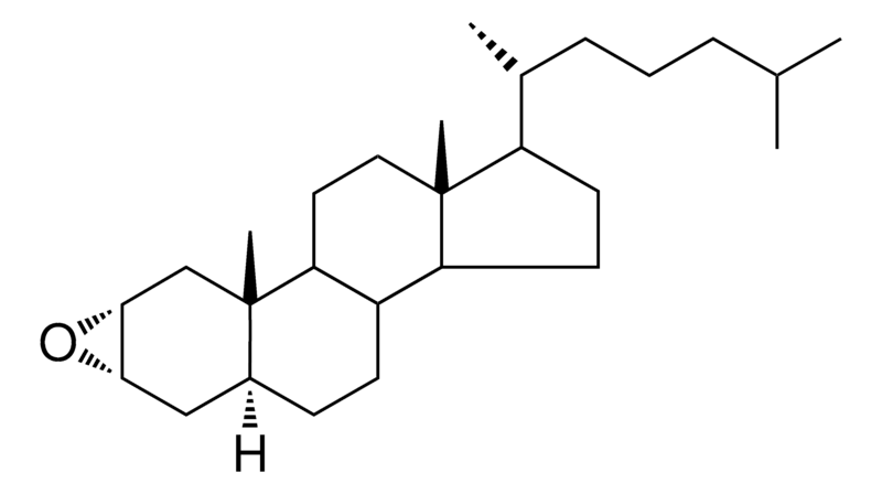 Merck 17-(1,5-DI-ME-HEXYL)-10,13-DI- - 25 MG&