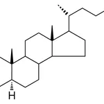 Merck 17-(1,5-DI-ME-HEXYL)-10,13-DI- - 25 MG&