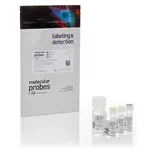 Thermo Fisher Scientific Pacific Blue Annexin V/SYTOX AADvanced Apoptosis Kit, for flow cytometry