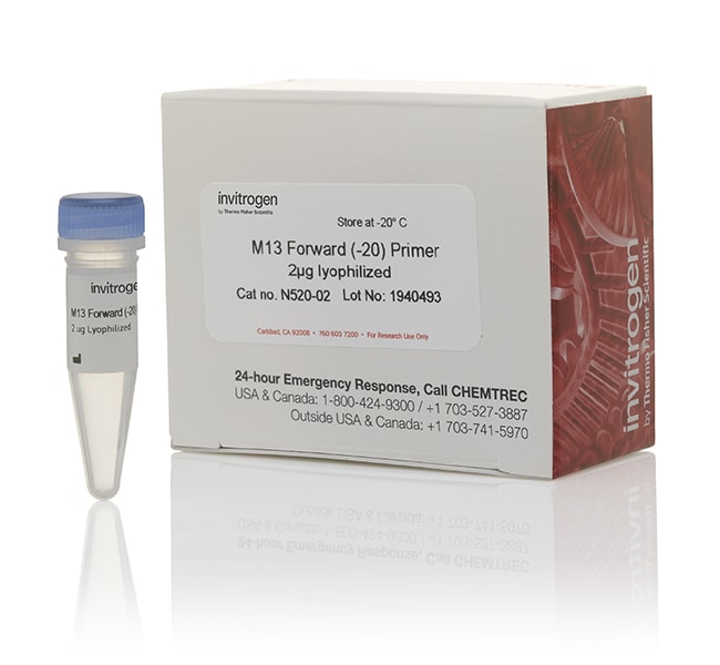 Thermo Fisher Scientific M13 Forward (-20) Primer