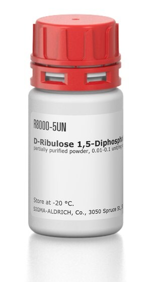 Merck D-RIBULOSE 1,5-DIPHOSPHATE CARBOXYLASE &