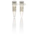 Thermo Fisher Scientific DreamTaq Hot Start DNA Polymerase, 200 U
