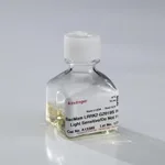 Thermo Fisher Scientific DCP Microdevelopments BacMam LRRK2 G2019S Reagent