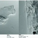 Merck GRAPHENE DISPERSION, MULTI-LAYERS (8-30