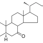 Merck 3-BETA-HYDROXY-5-ALPHA-CHOLEST - 1 MG&