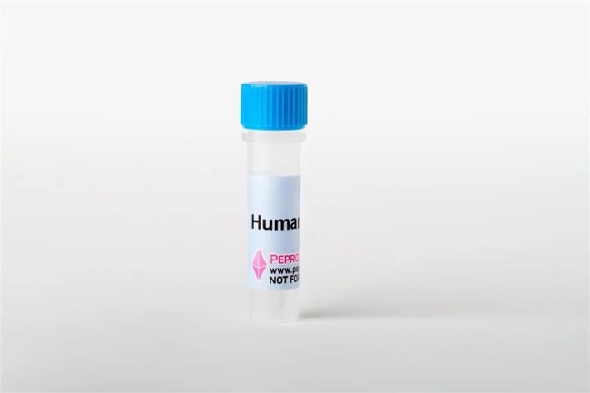 Thermo Fisher Scientific Human FGF-7 (KGF), Animal-Free Recombinant Protein, PeproTech