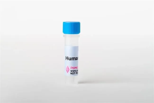 Thermo Fisher Scientific Human FGF-7 (KGF), Animal-Free Recombinant Protein, PeproTech