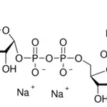 Merck URIDINE-5``-DIPHOSPHOGLUCOSE DISODIUM