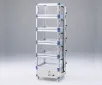 AS ONE Gas SubstitutIon Desiccator Multi-Chamber, 멀티챔버가스치환 데시케이터(각실 독립)