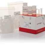 Thermo Fisher Scientific PureLink PCR Micro Kit, 50 Preps