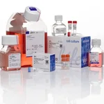 Thermo Fisher Scientific Expi293 Expression System Kit