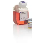 Thermo Fisher Scientific B-27 Plus Neuronal Culture System