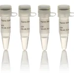 Thermo Fisher Scientific NTP Set, 100 mM Solution