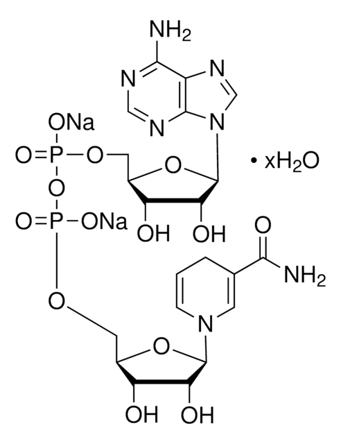 Merck B-NICOTINAMIDE ADENINE DINUCLEOTIDE