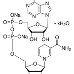 Merck B-NICOTINAMIDE ADENINE DINUCLEOTIDE