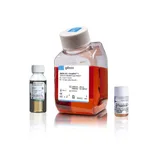 Thermo Fisher Scientific Astrocyte Medium