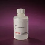 Thermo Fisher Scientific North2South Hybridization Buffer