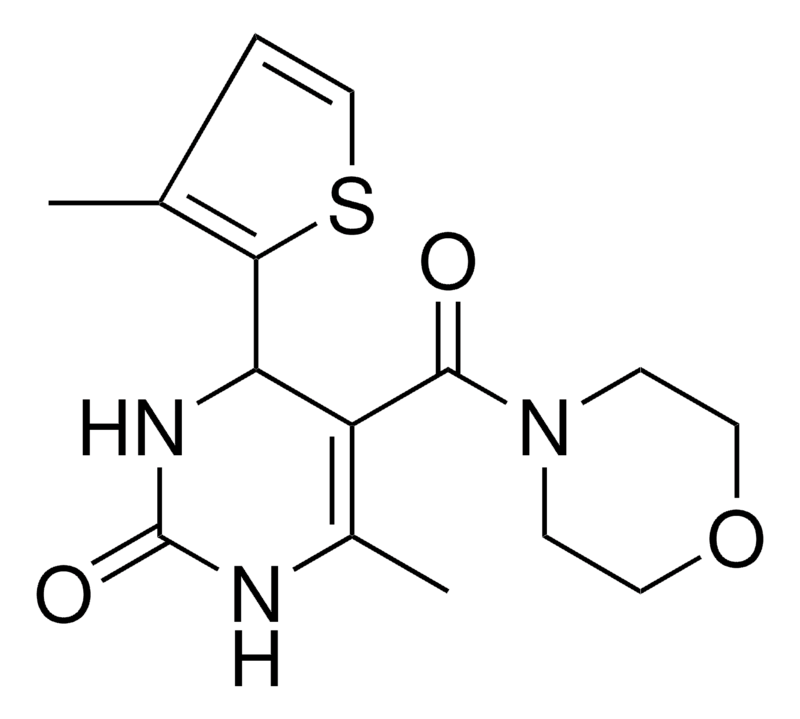 Merck 6-ME-4-(3-ME-2-THIENYL)-5-(4-MOR-