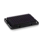 Thermo Fisher Scientific Axiom BreedWheat 35K Genotyping Array (mini-96 format)