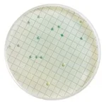 Merck WL Differential AgarNutriSelect Plus