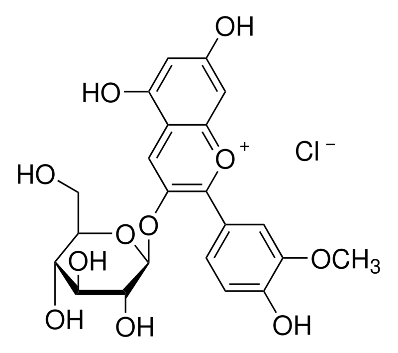 Merck Peonidin 3-O-glucoside chloride