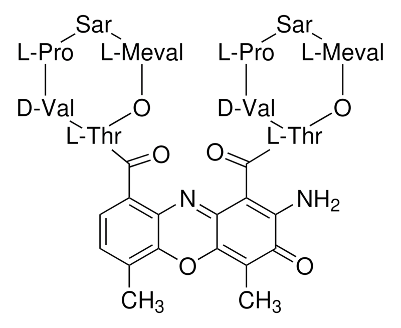 Merck Actinomycin D