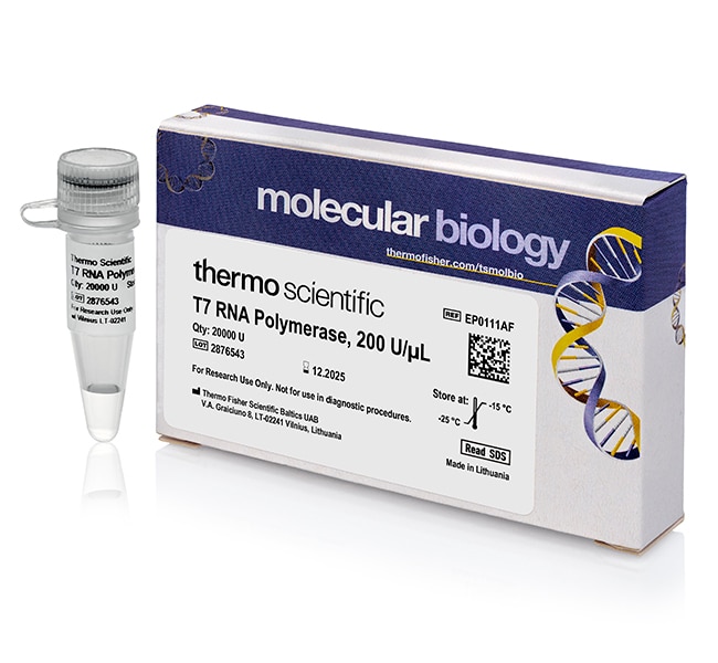 Thermo Fisher Scientific T7 RNA Polymerase (200 U/μL), 20,000 U