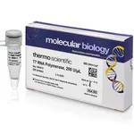 Thermo Fisher Scientific T7 RNA Polymerase (200 U/μL), 20,000 U