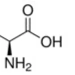 Merck L-LYSINE ACETATE SALT, >=98% (HPLC)