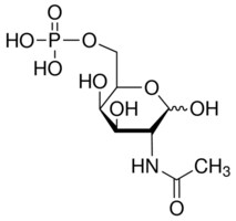Merck N-ACETYL-D-GALACTOSAMINE-6-PHOSPHATE