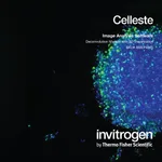 Thermo Fisher Scientific Celleste 3D Deconvolution Module, single-user license