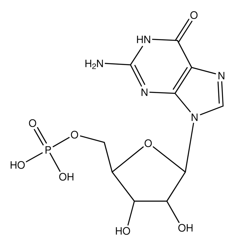 Merck (5-(2-Amino-6-oxo-1H-purin-9(6H)-yl)-3,4-dihydroxytetrahydrofuran-2-yl)methyl dihydrogen phosphate