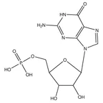 Merck (5-(2-Amino-6-oxo-1H-purin-9(6H)-yl)-3,4-dihydroxytetrahydrofuran-2-yl)methyl dihydrogen phosphate