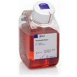 Thermo Fisher Scientific Neurobasal-A Medium, no D-glucose, no sodium pyruvate