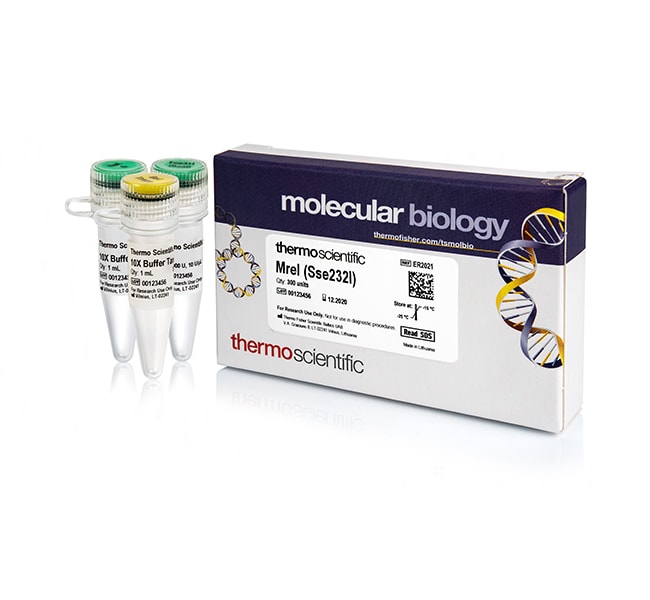 Thermo Fisher Scientific MreI (Sse232I) (10 U/μL)